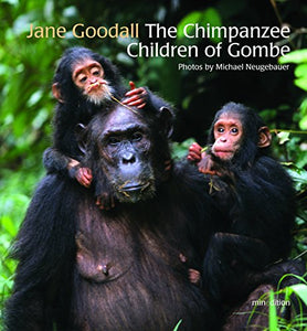 The Chimpanzee Children of Gombe 