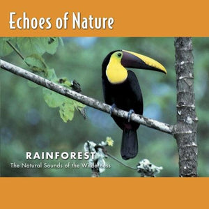 Echoes of Nature - Rainforest 