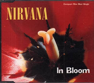 Nirvana - In Bloom 