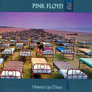 Pink Floyd - A Momentary Lapse of Reason 