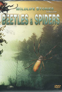 Wildlife Stories The Whole Story: Beetles And Spiders [DVD] [2001] 