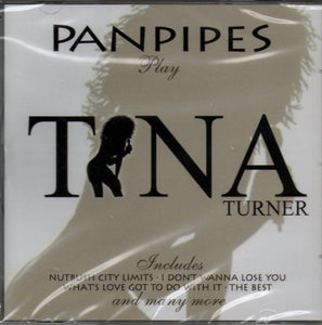 Panpipes Play Tina Turner 