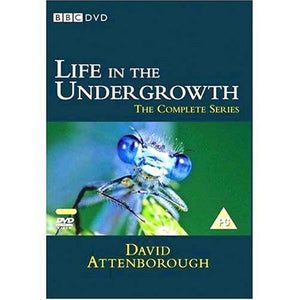 David Attenborough - Life in the Undergrowth [DVD] 