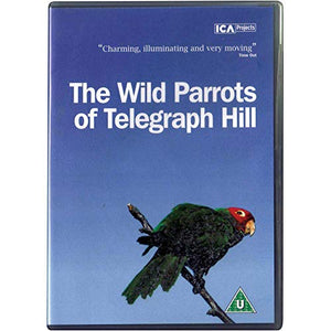 The Wild Parrots Of Telegraph Hill [2003] [DVD] 