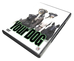 A Quantum Leap Production The Fun Guide To Caring For Your Dog [DVD] With DVD Cleaning Cloth 