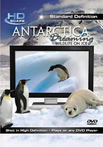 Antarctica Dreaming: Wildlife On Ice SD [2007] [DVD] [NTSC] 