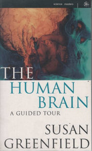 The Human Brain 