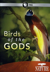 Nature: Birds of the Gods [DVD] [Region 1] [US Import] [NTSC] 