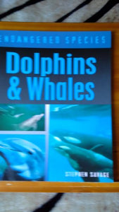 Dolphins and Whales 