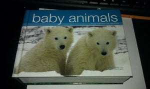 Baby Animals (Brick Book Series) 