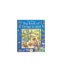 The Usborne Big Book of Things to Spot 