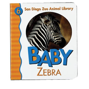 Baby Zebra 