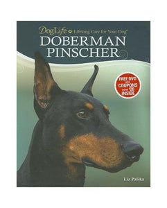 Doberman Pinscher 