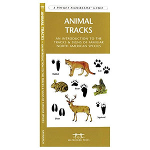 Animal Tracks 