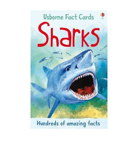 Fact Cards Sharks 