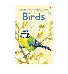 Nature Cards 