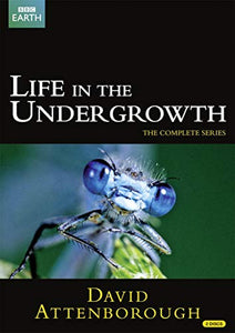 Life in the Undergrowth (Repackaged) [DVD] 