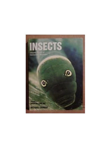 Insects 