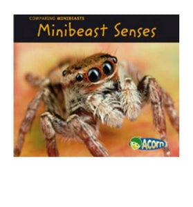 Minibeast Senses 