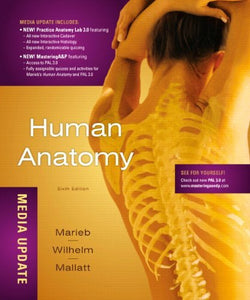 Human Anatomy, Media Update 