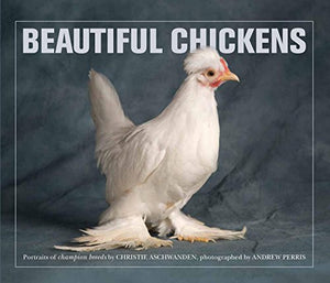 Beautiful Chickens 