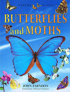 Butterflies And Moths : Nature Watch : 