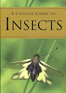 A Concise Guide to Insects 