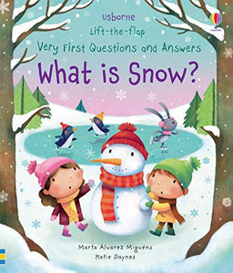 Usborne Lift-The-Flap Very First Questions and Answers : What Is Snow? 