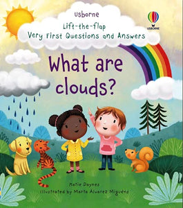 What are Clouds? (Lift-the-Flap Very First Questions and Answers) 