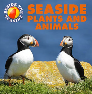 Beside the Seaside: Seaside Plants and Animals 