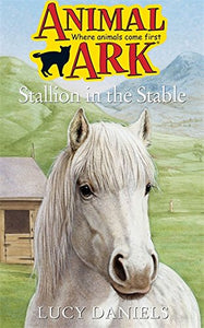 Stallion in the Stable 