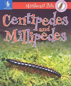 Millipedes and Centipedes 